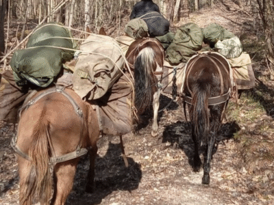 South East Pack Trips: Big South Fork TN